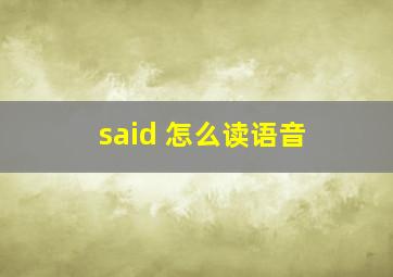 said 怎么读语音